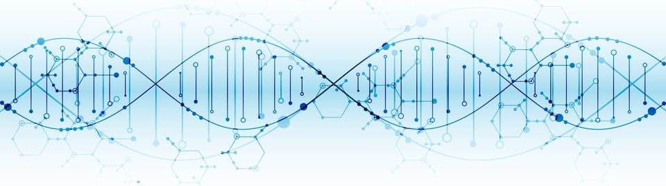 Illustration of a segment of DNA 