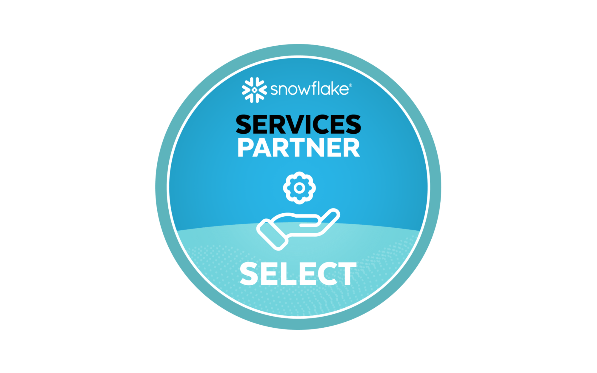 Snowflake Services Partner